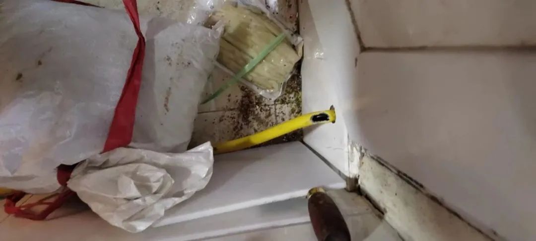 燃氣(qì)軟管被(bèi)老鼠咬(yao)了個大(da)窟窿,竟(jìng)然……